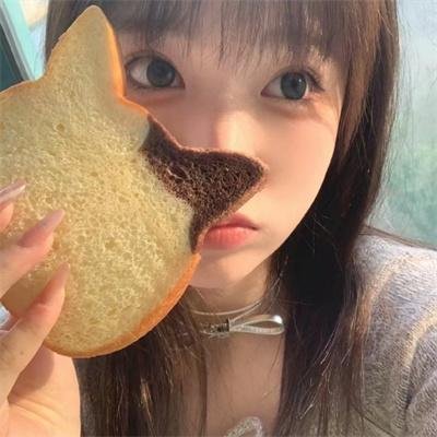 魔法灵猫封面